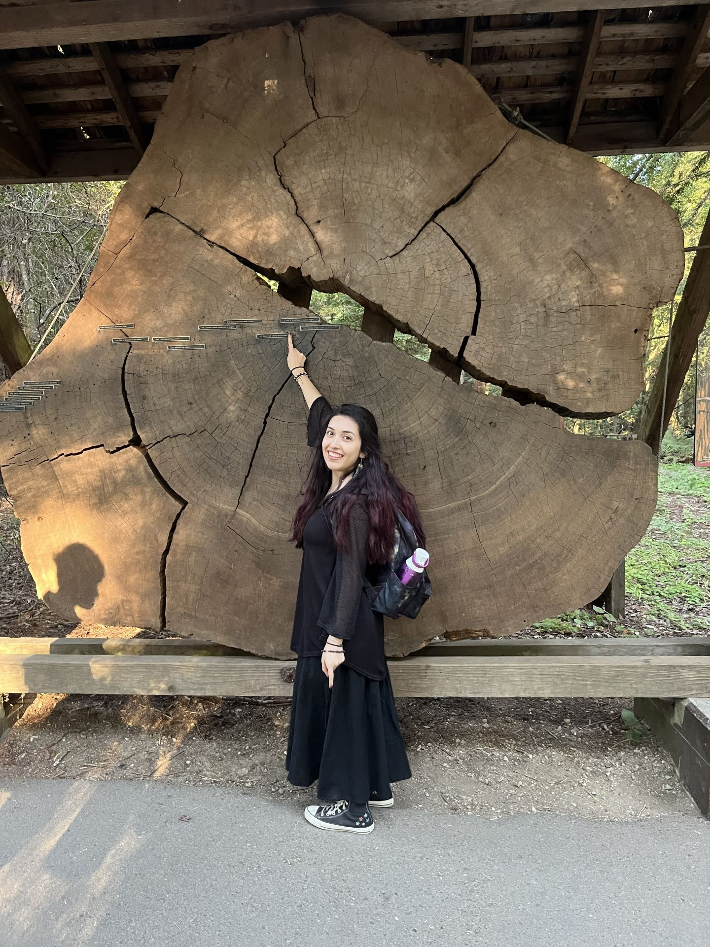 Redwood National Park